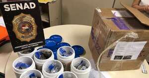 Diario HOY | Pillan potente concentrado de marihuana para vapeadores