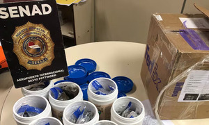 Detectan cargamento de marihuana ultra concentrada para vapeadores en aeropuerto - OviedoPress
