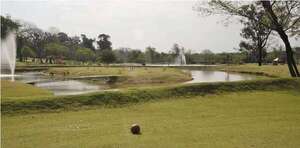 Concejal denuncia como “despojo” la concesión de predio del Jardín Botánico al Asunción Golf Club - Política - ABC Color