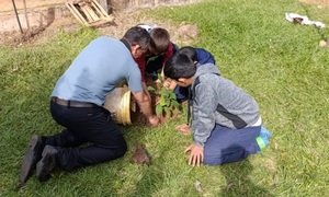 Arrancó la plantatón de 45 mil tajy en el Día del Árbol en Caaguazú - OviedoPress
