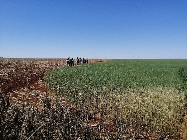 Recupera 70 hectáreas de reserva Itabó en caso ambiental