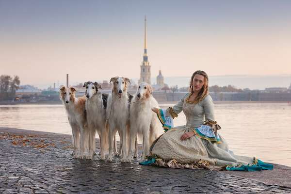 Por qué los Borzoi son los perros favoritos de la generación Z - Mascotas - ABC Color
