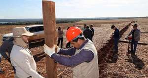 La Nación / Justicia restituye a Itaipú 70 hectáreas de reserva natural tras 30 años