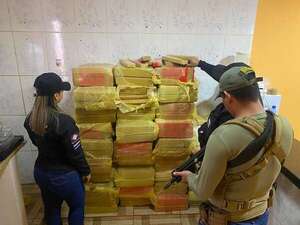 Decomisan más de 700 kilos de marihuana en Pedro Juan Caballero - Nacionales - ABC Color