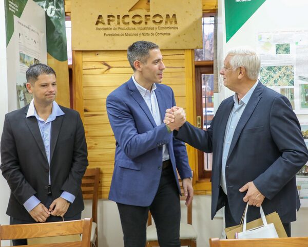 Paraguay busca posicionarse en la cadena forestal regional a través de alianza con Argentina