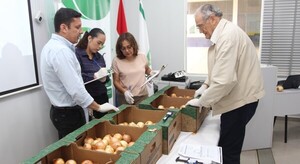Destacan importancia de manejo de cosecha y poscosecha de la cebolla
