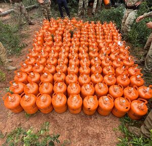 Desarticulan megaestructura de procesamiento y tráfico de marihuana concentrada en Amambay - .::Agencia IP::.