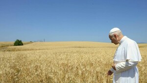 El papa aprueba primer paso para beatificar al diácono João Pozzobon, del movimiento Schoenstatt