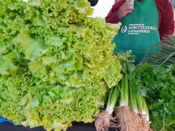 Familias ofertan productos agrícolas sin intermediarios en ferias simultáneas en San Lorenzo y Lambaré - .::Agencia IP::.