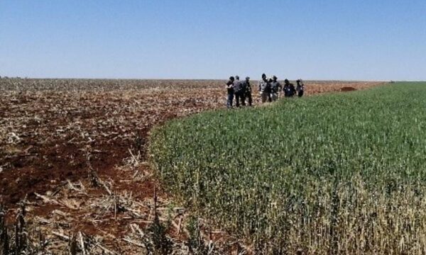 Logran restitución de 70 hectáreas de reserva natural a Itaipú y reparación por daño ambiental
