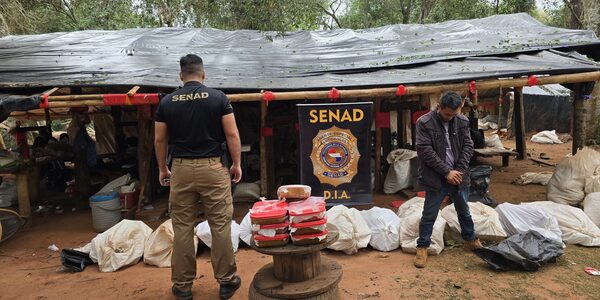 Duro golpe al narcotráfico: Senad desarticula una megaestructura en el norte del país • PARAGUAY TV