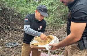 ¿Qué es la marihuana WAX, incautada en operativos recientes? - Policiales - ABC Color