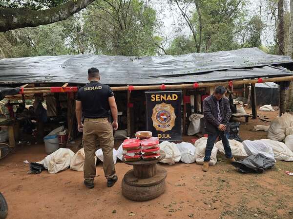 Karapaí: incautan más de 12 toneladas de marihuana y capturan a 4 implicados - Nacionales - ABC Color
