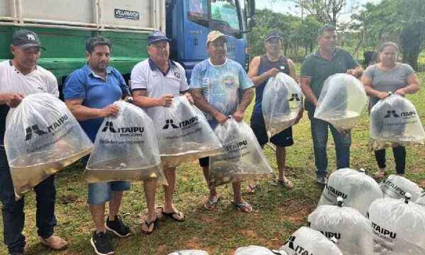 Producción piscícola es rubro alternativo en colonias de Caaguazú, Caazapá, Cordillera y Amambay – Prensa 5