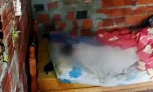 La miseria y el abandono condenaron a muerte a niño con parálisis cerebral – Prensa 5