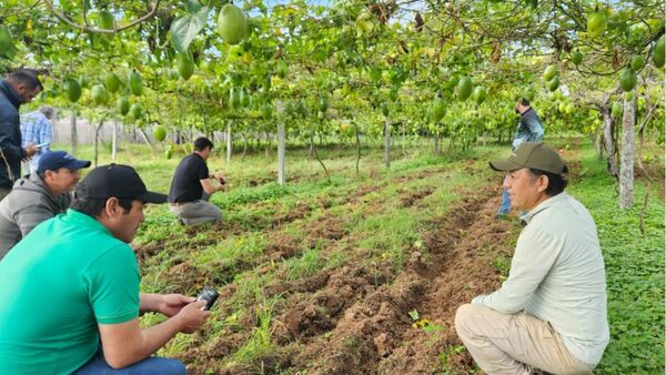 Intercambio técnico cooperativo fortalece el desarrollo agropecuario