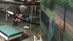 Ni el frío los frena: roban abrigos, ruda y hasta gallinas