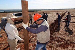 Itaipu recupera 70 hectáreas de la Reserva Natural Itabó