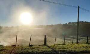 El invierno se hará sentir el martes con mínimas de entre 0 y 4°C – Prensa 5