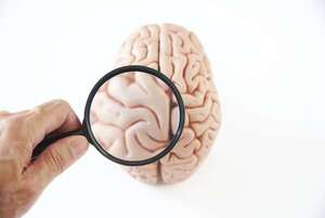 Cómo reacciona el cerebro ante la corrupción según tu ideología política - Ciencia - ABC Color