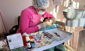 Caries Cero: continúan actividades sobre educación bucodental en varios puntos del país – Prensa 5