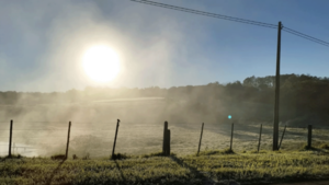 Frente frío traerá mínimas de 0°C