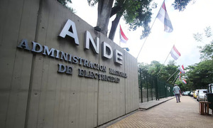 ANDE presentó una asistente virtual para atender reclamos - trece