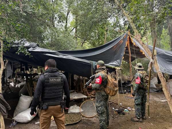 San Alfredo: destruyen campamentos narco y marihuana ubicados en biósfera del río Apa - Policiales - ABC Color