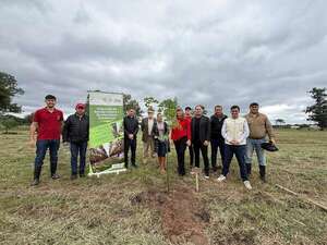 San Bernardino apuesta por la reforestación con el proyecto “Planta tu Árbol” - Nacionales - ABC Color