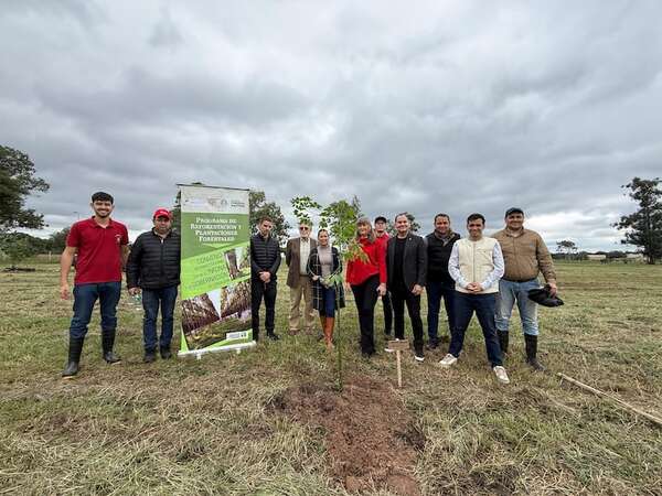 San Bernardino apuesta por la reforestación con el proyecto “Planta tu Árbol” - Nacionales - ABC Color