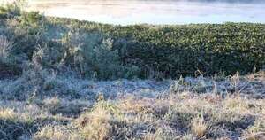 La Nación / Meteorología alerta 0 °C para la próxima semana