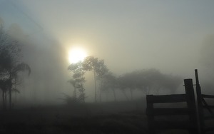Sábado con cielo cubierto y neblinas persistentes anuncia Meteorología - .::Agencia IP::.