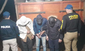 Caen tres hombres con mil kilos de marihuana en Caazapá - OviedoPress