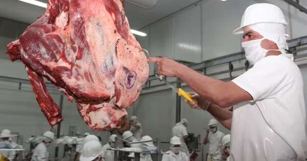 La Nación / Exportaciones cárnicas a Israel continúan pese a la guerra, pero con logística adaptada