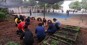 La Nación / Escuelas verdes: cuando la educación ambiental cambia familias y ciudades