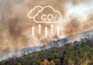 Paraguay generaría más de US$ 250 millones con créditos de carbono, según el MIC - Económico - ABC Color