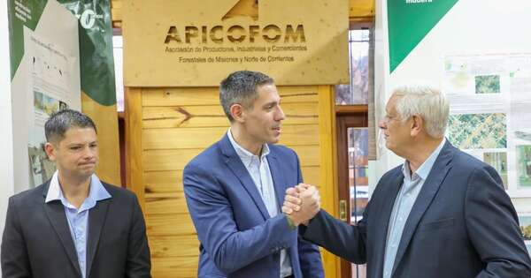 Diario HOY | Paraguay y Argentina buscan impulsar desarrollo de industria forestal