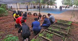 La Nación / Escuelas verdes: cuando la educación ambiental cambia familias y ciudades