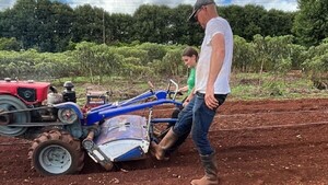 Más que una huerta de zanahorias, joven cultiva esperanza en Itapúa