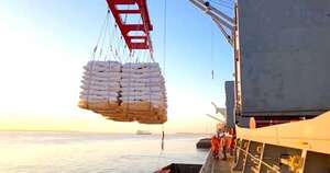 La Nación / Exportaciones de cereales cerraron mayo con buen dinamismo