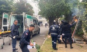 Ataque de avispas deja una persona fallecida y otra herida