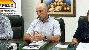 Buenas perspectivas para el maíz: “Va a ayudar a compensar la merma en soja”