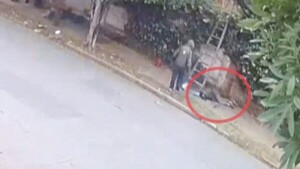 Le contrataron para destruir un panal y murió picado por las avispas