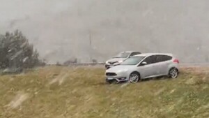 Nevadas llegan a provincia de Buenos Aires y no descartan que alcance a la capital