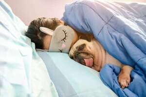 ¿Es bueno que los perros duerman contigo en la cama cuando hace frío? - Mascotas - ABC Color