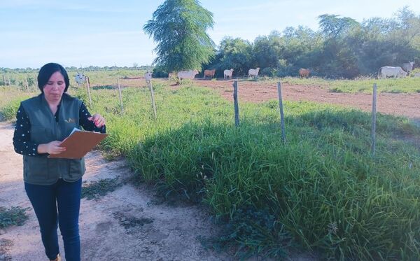 Digitalización de expedientes de tierras del Chaco tienen un avance del 70%