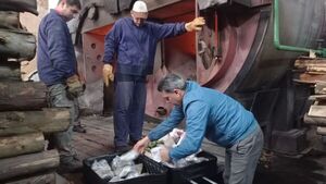 Jueza supervisó incineración de marihuana en Pilar