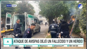 Ataque de avispas dejó un fallecido y un herido