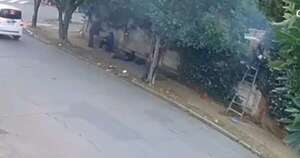 La Nación / Policía investiga muerte de un hombre tras ataque de avispas en Sajonia