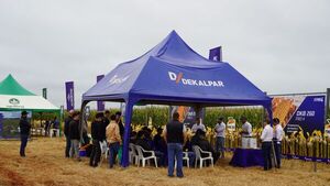 Dekalpar exhibió híbridos Dekalb con alto rendimiento y rápido secado en Buena Vista